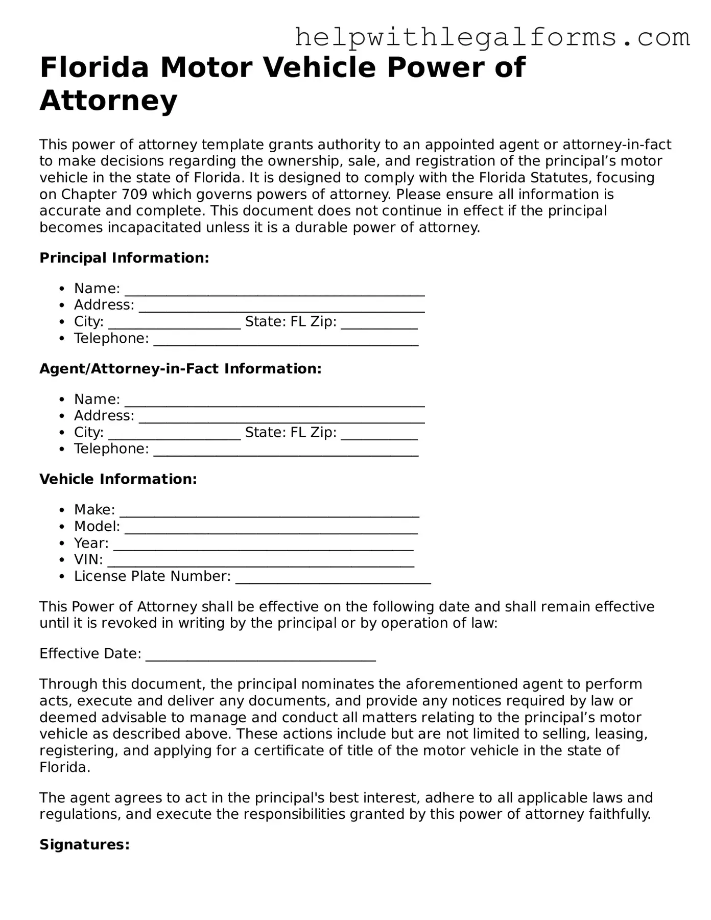 Blank  Motor Vehicle Power of Attorney Form for Florida