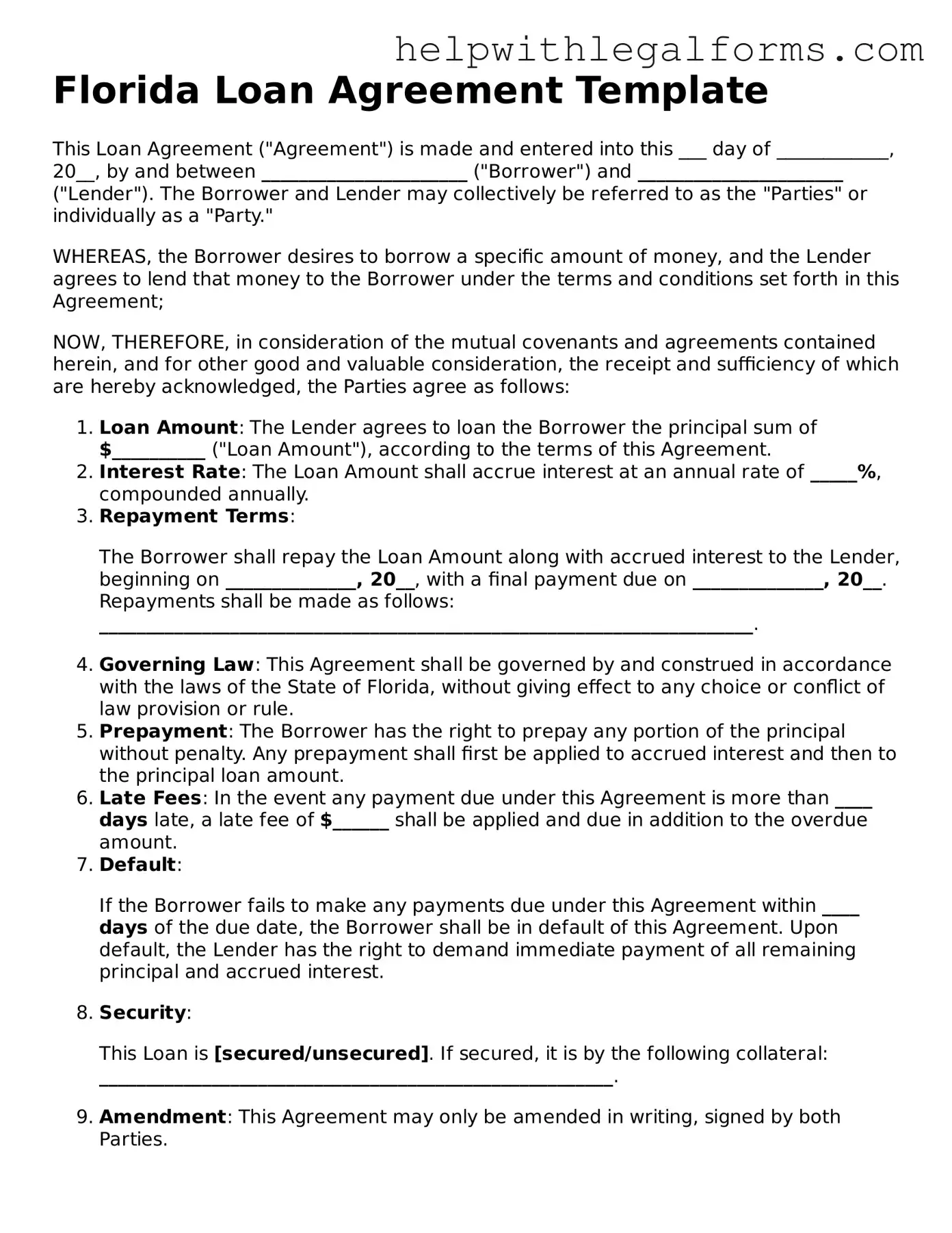 Blank  Loan Agreement Form for Florida
