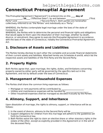 Blank  Prenuptial Agreement Form for Connecticut